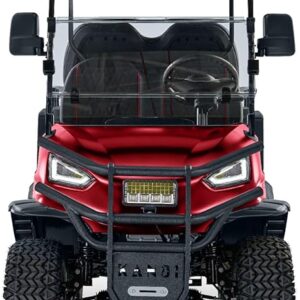 4 Passenger Electric Cart