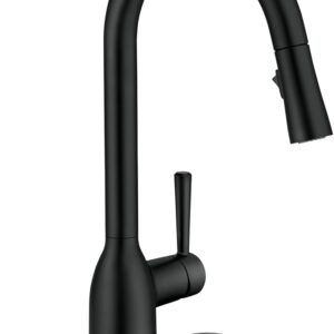 High Arc Kitchen Sink Faucet